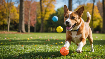 Engage Your Dog in Outdoor Fun with These Interactive Toys