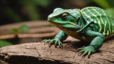 The Importance of Choosing the Right Reptile Food for Optimal Health