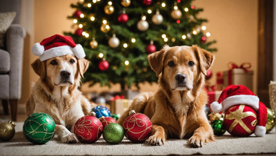 Christmas Toys for Dogs