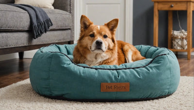 Create a Luxurious Sleeping Space with Premium Pet Beds