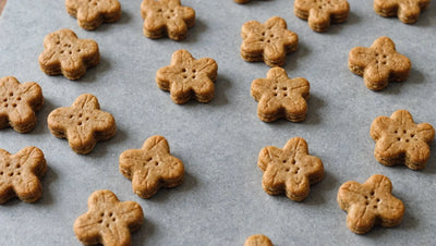 Small Batch Dog Treats: Homemade Goodness for Your Pup