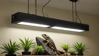 Reptile Light Fixture - 36 Inch: The Perfect Lighting Solution