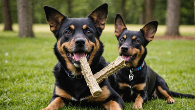 The Best Natural Chews for Dogs: Keep Your Pup Happy and Healthy