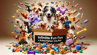 Never Run Out of Fun with a Dog Toy Subscription