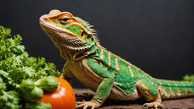 Best Vegetables for Your Bearded Dragon