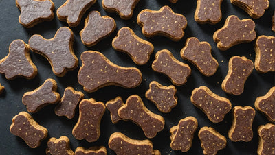 Beef Liver Dog Treats: Delicious and Nutritious Canine Snacks