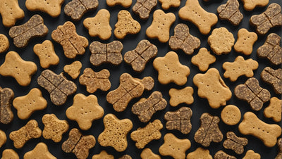 Delicious and Nutritious Premium Natural Dog Treats