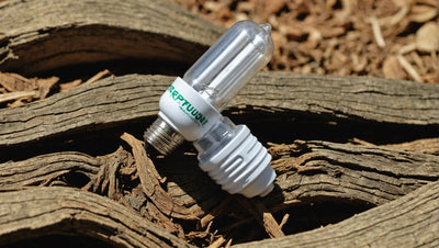 Reptisun 10.0 UVB Bulbs: The Best Choice for Your Reptile's UVB Needs