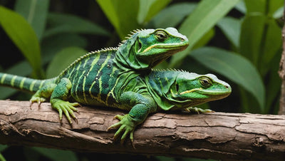 Essential Tips for Reptile Owners: Creating the Perfect Habitat