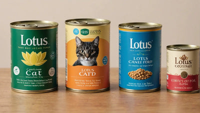 Lotus Canned Cat Food: A Delicious and Nutritious Choice