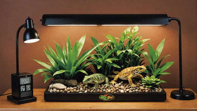Upgrade-Your-Reptile-s-Habitat-with-Zoo-Med-Dual-Lamps Talis Us