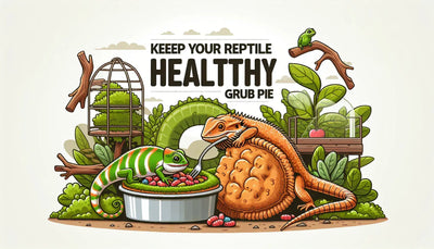 Keep Your Reptile Healthy with Repashy Grub Pie