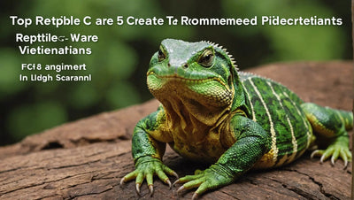 Top 5 Reptile Care Products Recommended by Reptile Veterinarians