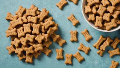 Weight Management Made Easy: Dog Treats for Overweight Dogs