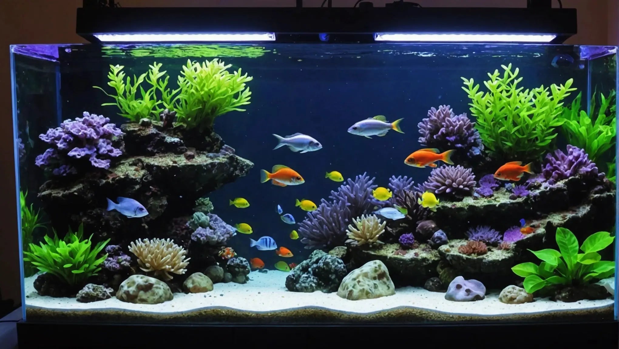 Upgrade Your Fish Tank with LED Lights for a Stunning Underwater Experience