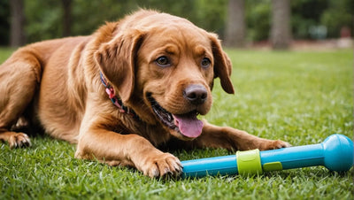 Chew Toy for Dogs: Enhance Playtime with Sound