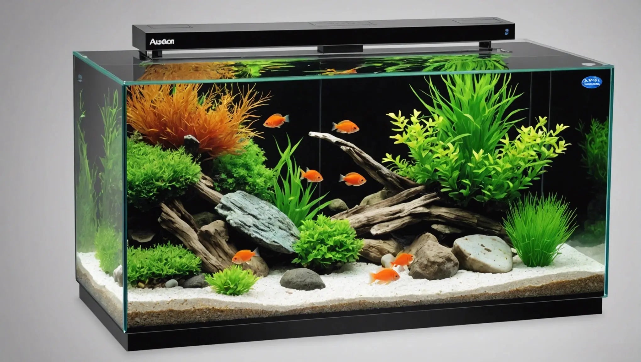 Aqueon Rimless Aquariums: The Perfect Home for Your Fish