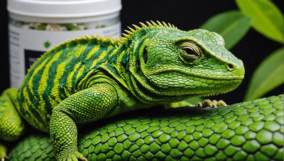 Enhance Your Reptile's Health with Arcadia Calcium Supplements