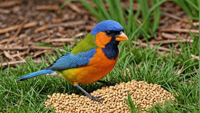 Budget-Friendly Bird Food Options