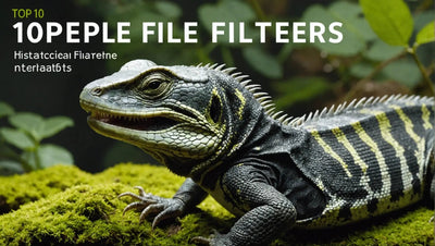 Top 10 Reptile Filters for a Clean and Healthy Habitat - Talis Us