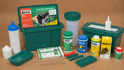 Top 10 Starter Sets for Antkeeping - Talis Us