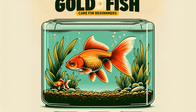 Top 3 Gold Fish Care Tips for Beginners - Talis Us