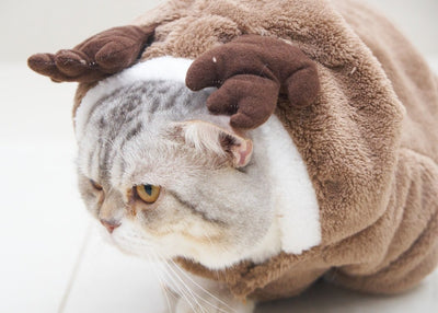 Uncovering the Best Specialty Pet Products for Niche Pet Care: A Diverse Pet Care Guide - Talis Us