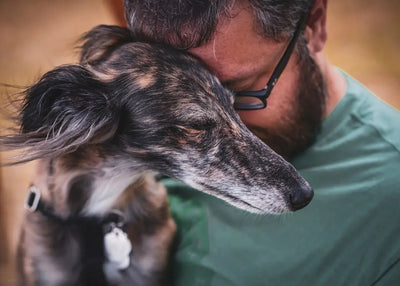 Understanding the Bond Between Pet People - Talis Us