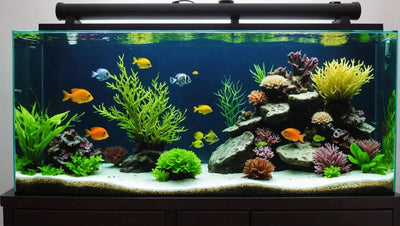 Upgrade Your Aquarium with Stunning Tank Decorations - Talis Us
