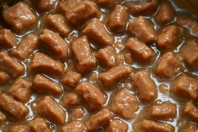 Wet-Cat-Food-Ultimate-Guide-to-Choosing-Feeding-Benefits-for-Your-Feline-Friend Talis Us