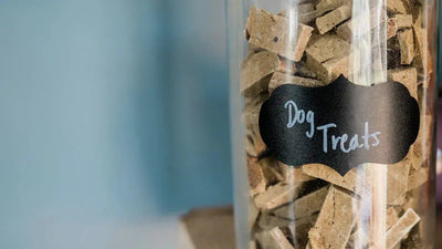 What Are Freeze Dried Dog Treats and Why Are They Great for Pets - Talis Us