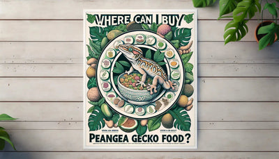 where can i buy pangea gecko food - Talis Us
