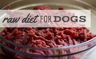 Would A Raw Diet Be Best For My Dog?