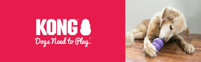 kong dog toys