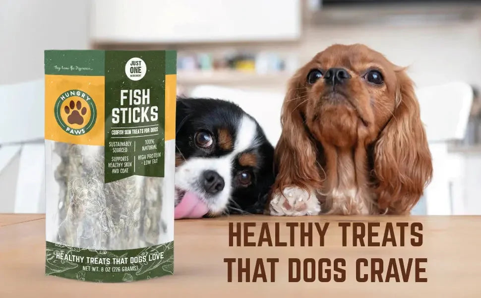 Hungry-Paws Talis Us