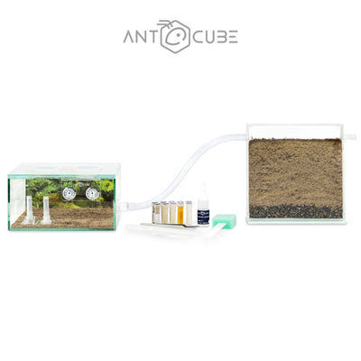 ANTCUBE for Ant keeping