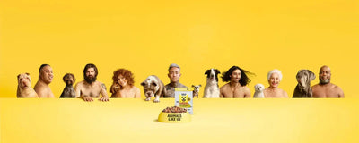 Animals Like Us - Talis Us