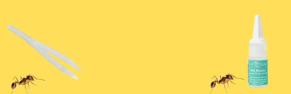 Ant Supplies - Talis Us