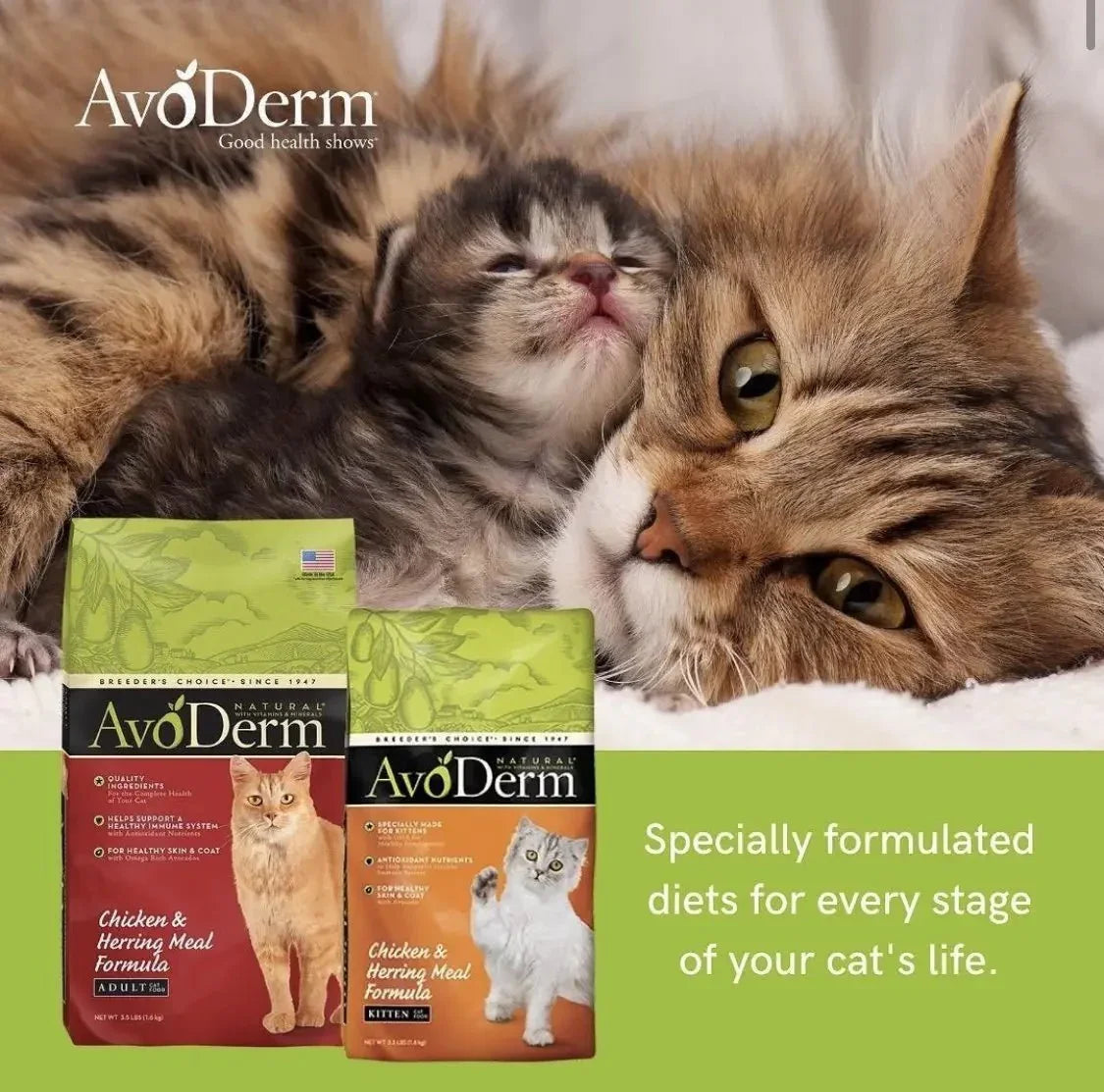 Avoderm cat food - Talis Us