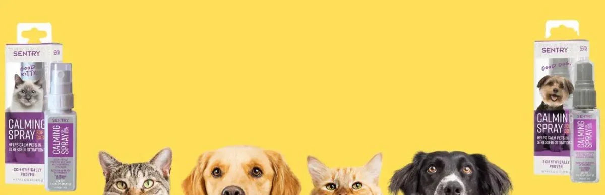 Behavioral Aids - Talis Us