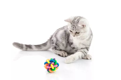 Cat Balls Toys