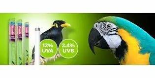 Bird Cage Light - Talis Us