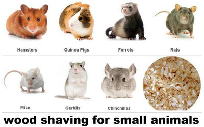 Small Animals Breeds