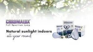 Chromalux - Talis Us