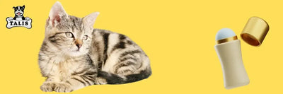 Cleaning and Deodorizers - Talis Us