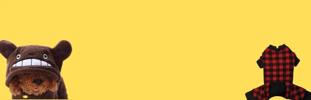 Clothing - Talis Us