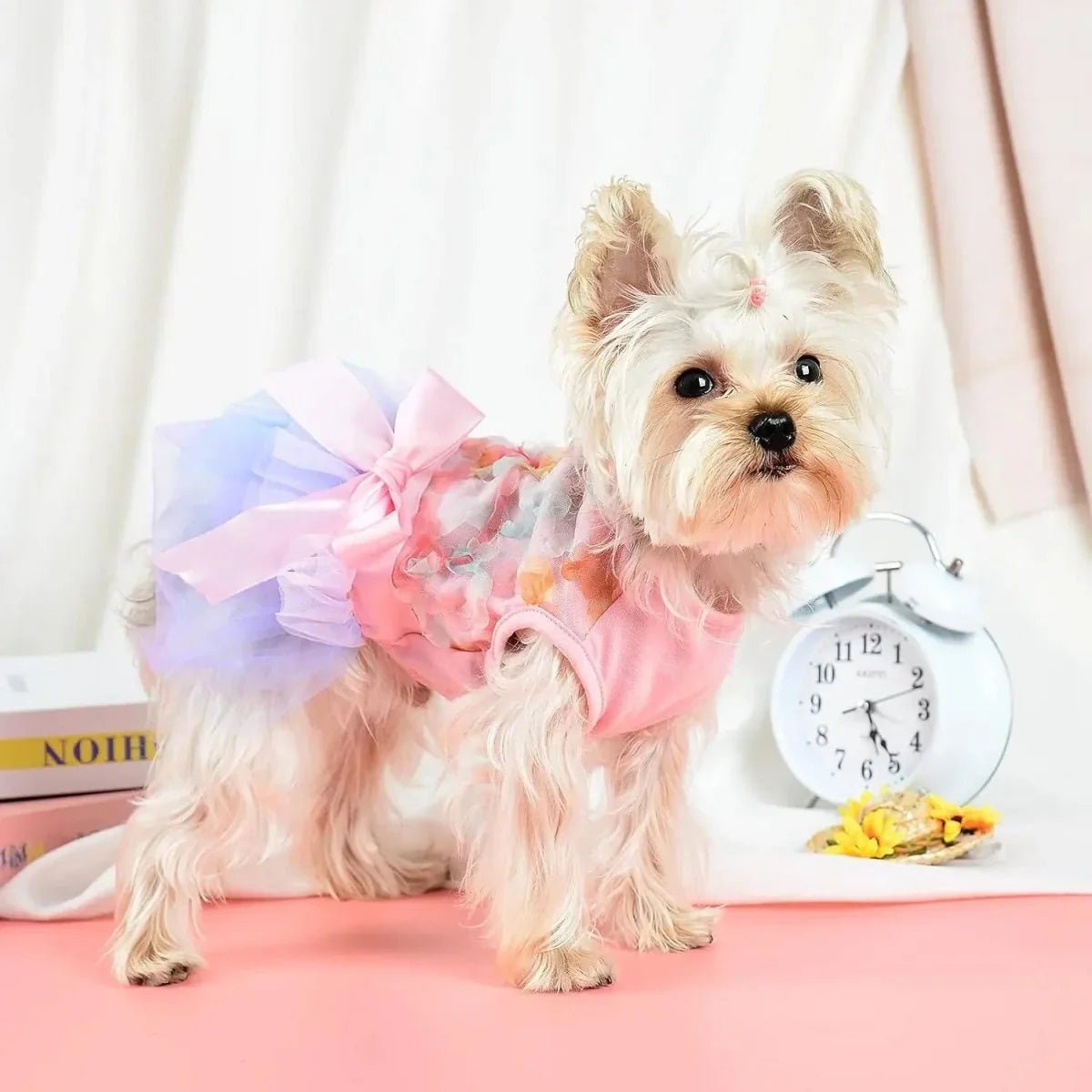 Dog Dresses - Talis Us