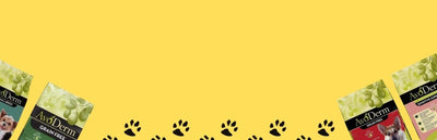 Dog Food - Talis Us