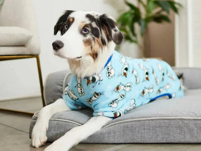 Dog Pajamas - Talis Us