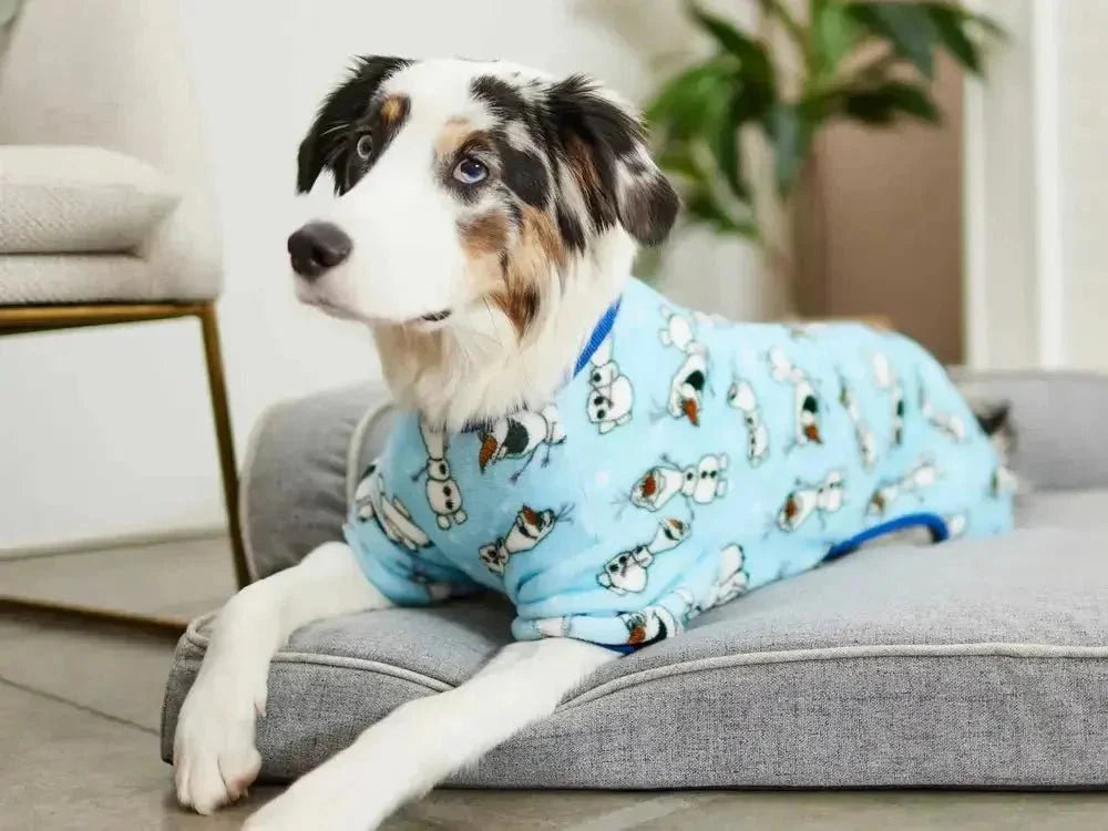 Dog Pajamas - Talis Us